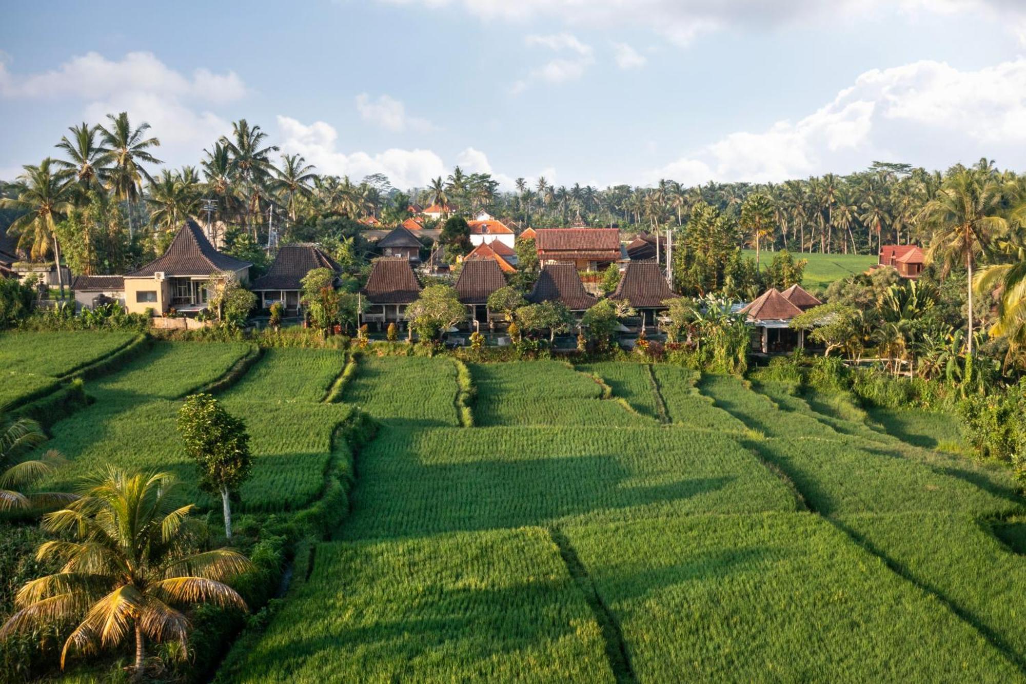 Wooden Ganeca Villas By Pramana Villas Убуд Екстер'єр фото